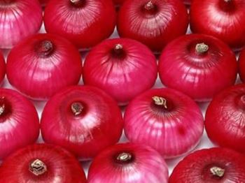 onion